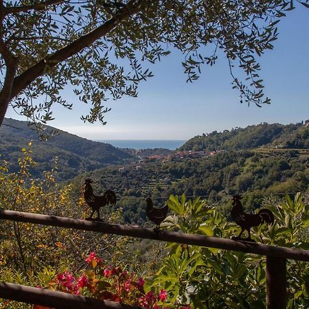 Pietrantica - Affittacamere Con Giardino Nuova Apertura A Trebiano -Citr Dış mekan fotoğraf