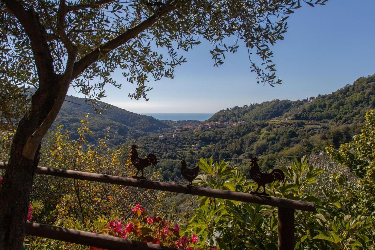 Pietrantica - Affittacamere Con Giardino Nuova Apertura A Trebiano -Citr Dış mekan fotoğraf