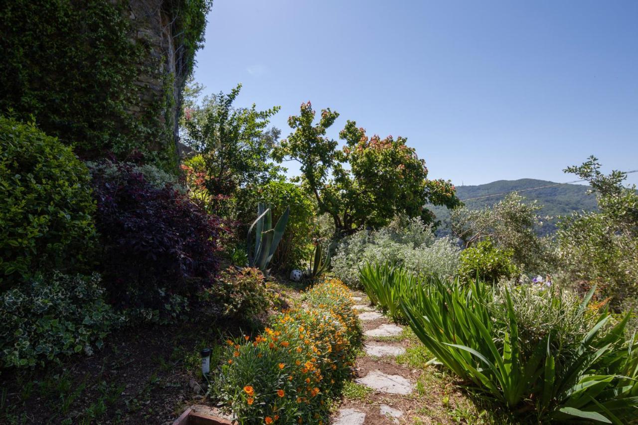 Pietrantica - Affittacamere Con Giardino Nuova Apertura A Trebiano -Citr Dış mekan fotoğraf