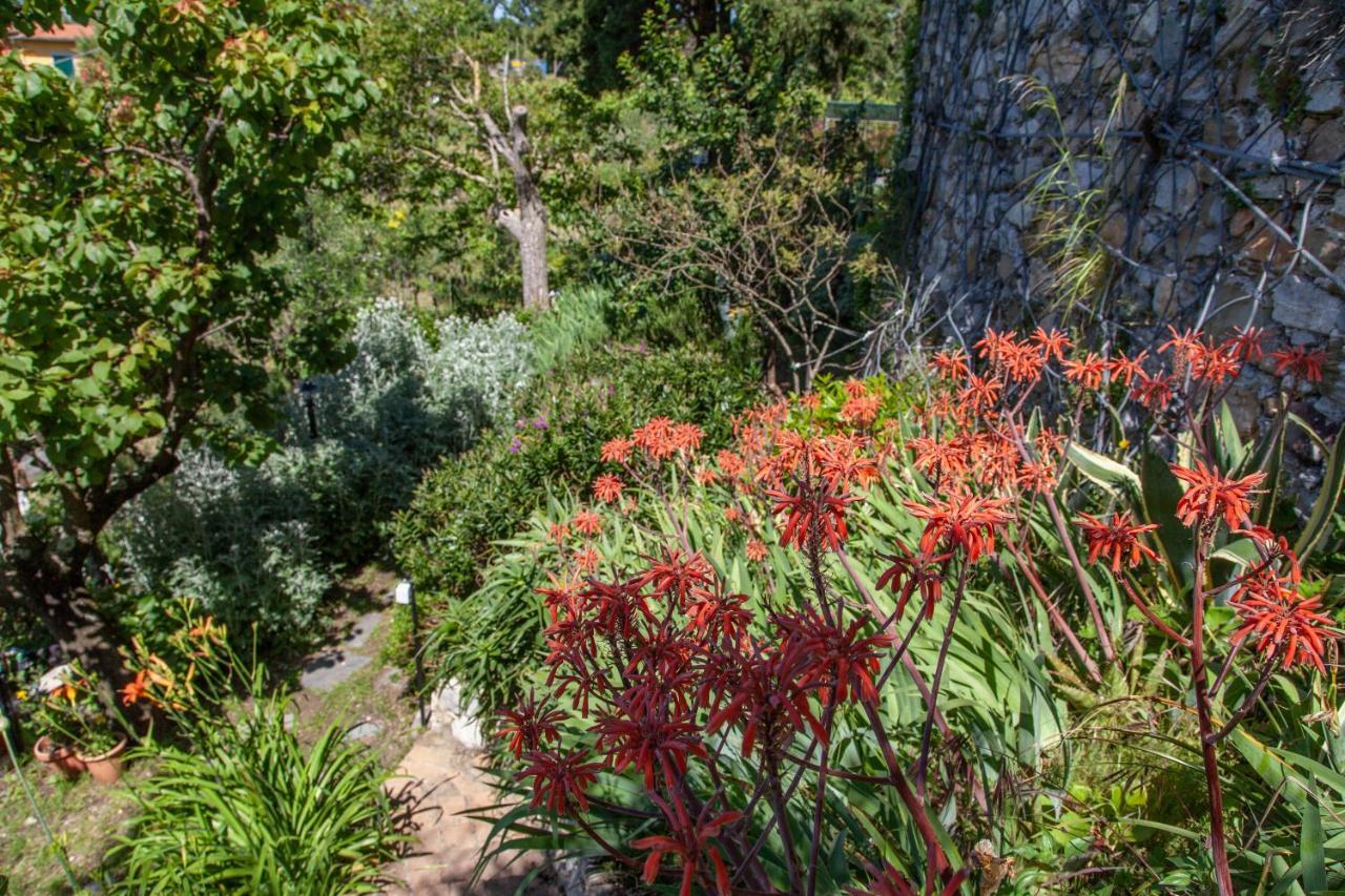 Pietrantica - Affittacamere Con Giardino Nuova Apertura A Trebiano -Citr Dış mekan fotoğraf