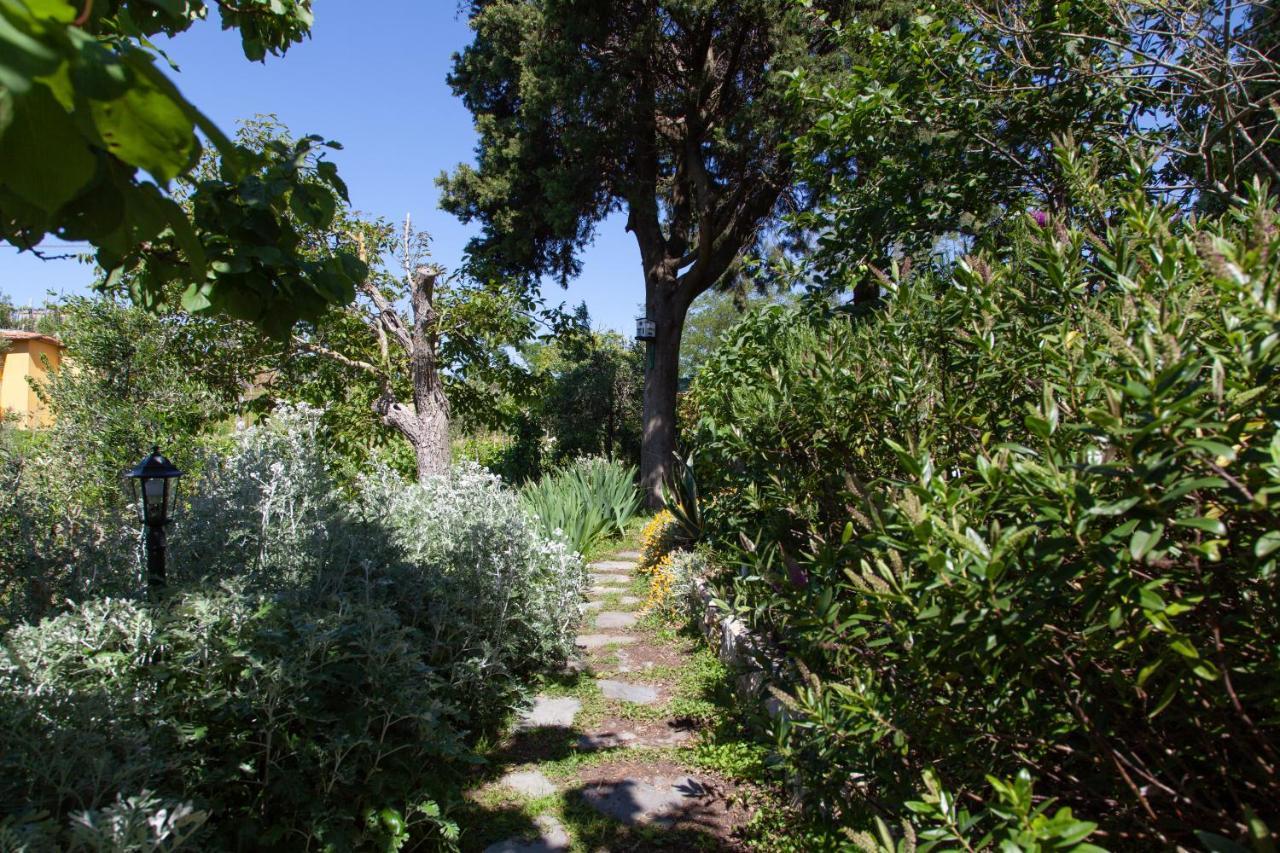 Pietrantica - Affittacamere Con Giardino Nuova Apertura A Trebiano -Citr Dış mekan fotoğraf
